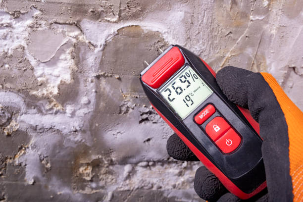 Attic Mold Removal in Hancock, MI
